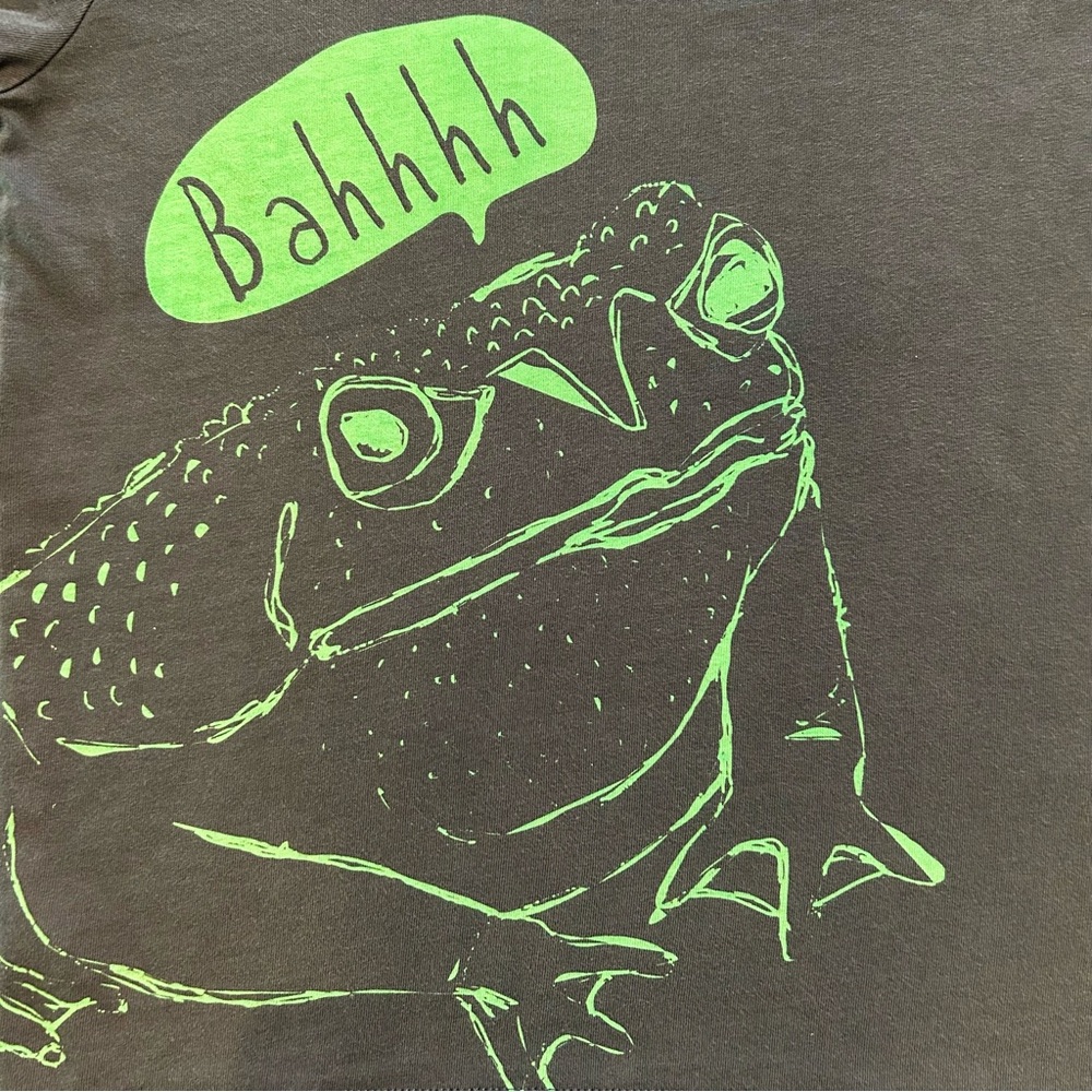 Mini Boden Size 4-5Y, Navy & Green, Frog, Short Sleeved T-Shirt, Tee - Picture 3 of 6